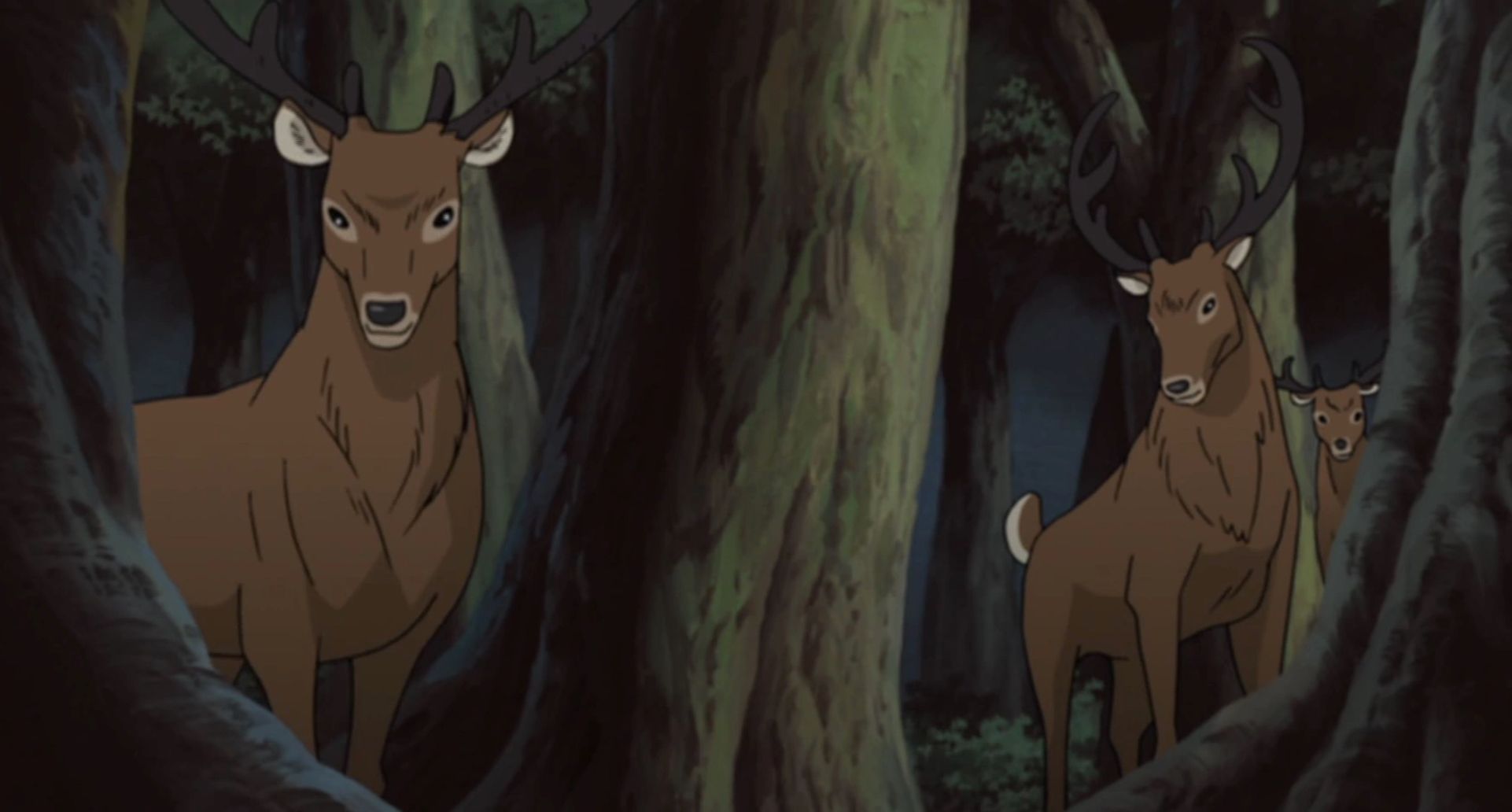 Nara Clan Forest And Deer in Naruto Shippuden