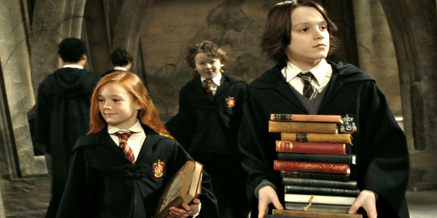 1 Frequently Forgotten Harry Potter Character Would Be The Perfect Lead For A Dark Spinoff Series