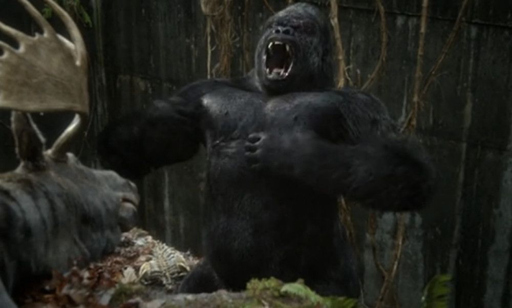 The 100 mutated gorilla CGI