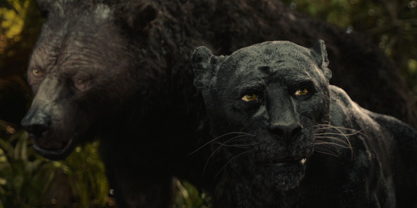 Baloo and Bagheera in Mowgli: Legend Of The Jungle