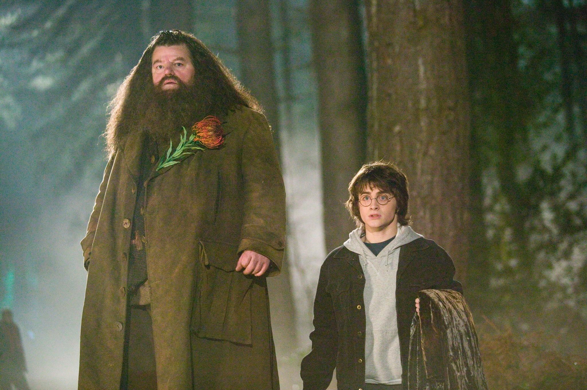 HP Hagrid Father Figure