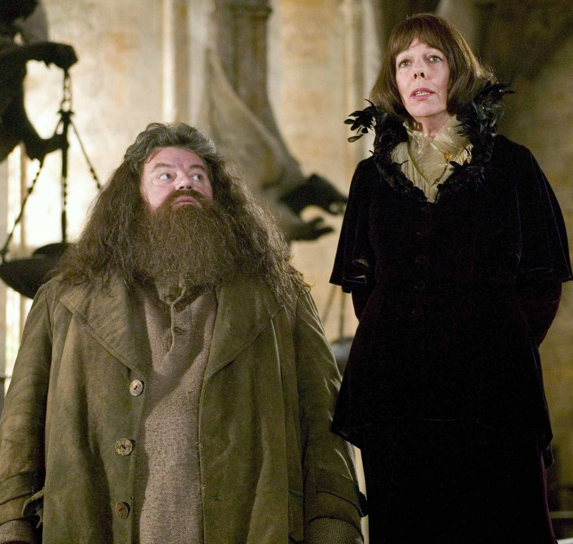 HP Hagrid Giant Heritage Secret