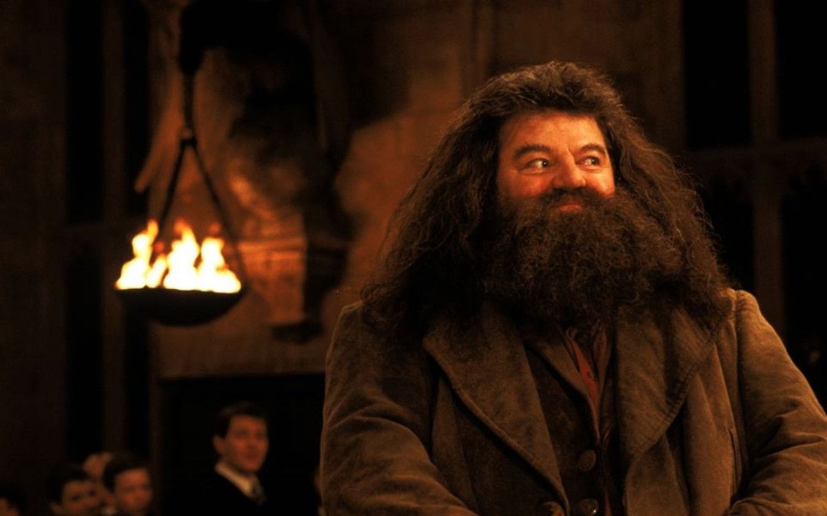 HP Hagrid Old