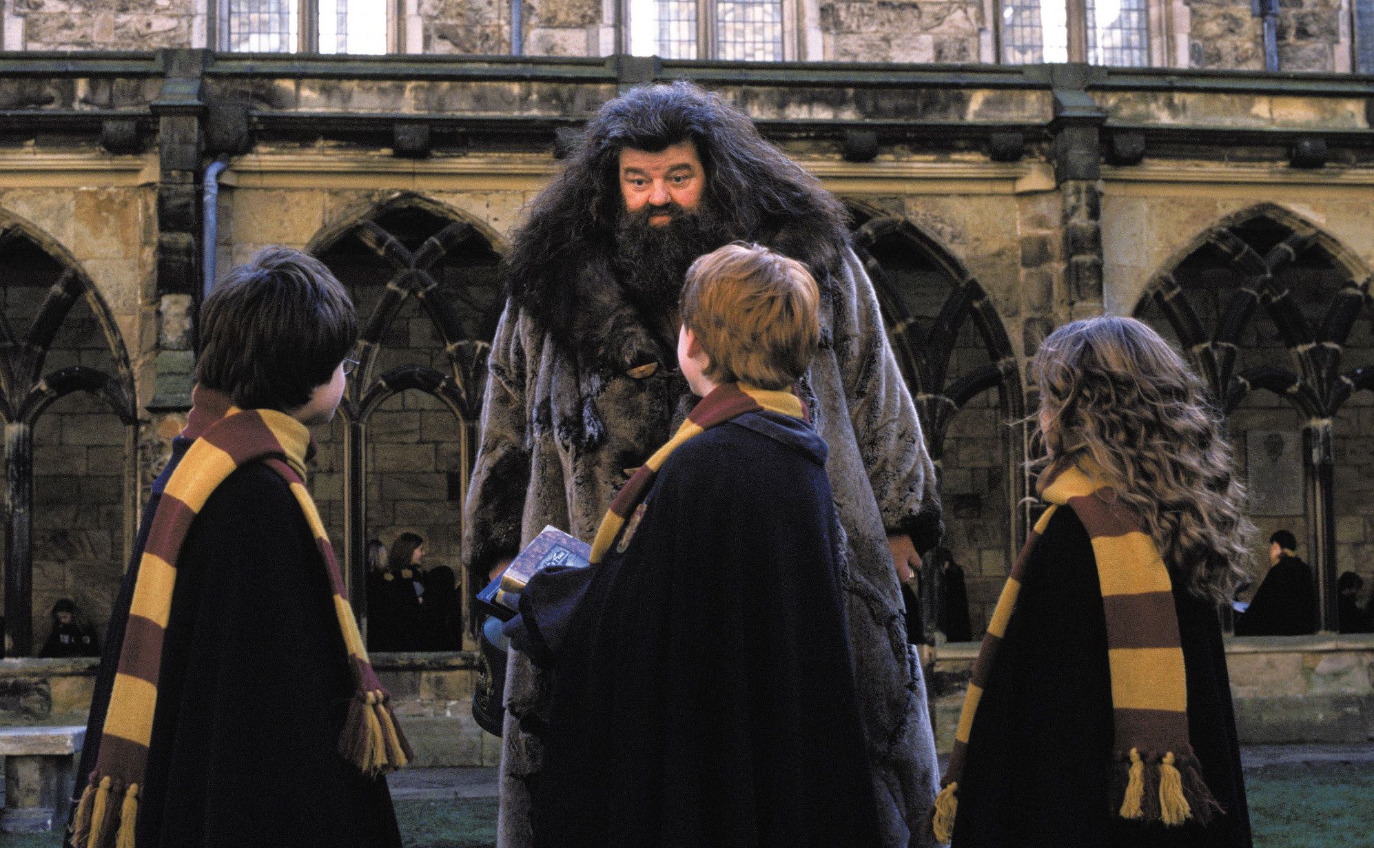 HP Hagrid Taller Than Appears