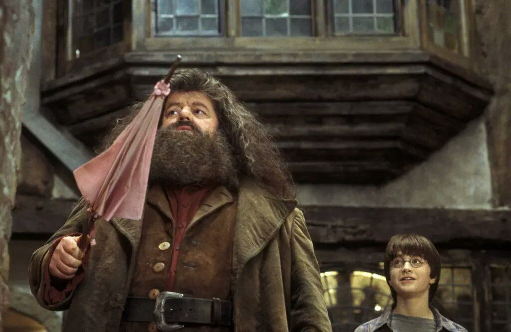 HP Hagrid Umbrella Wand