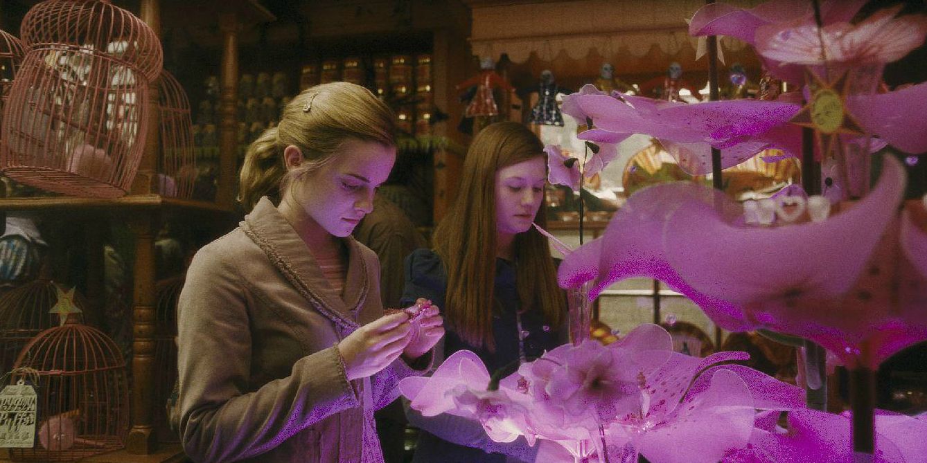 Hermione and Ginny looking at love potions in Harry Potter. 