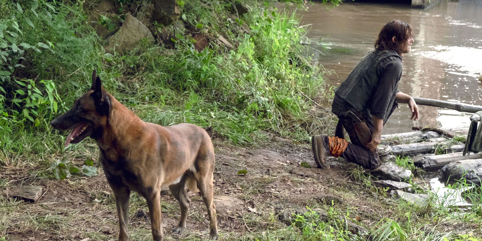 Norman Reedus as Daryl Dixon and Dog on The Walking Dead