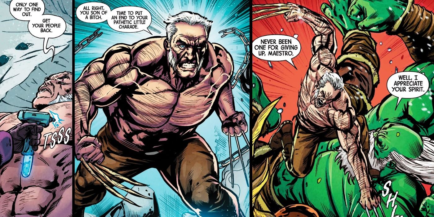 Old Man Logan fights Hulk Maestro