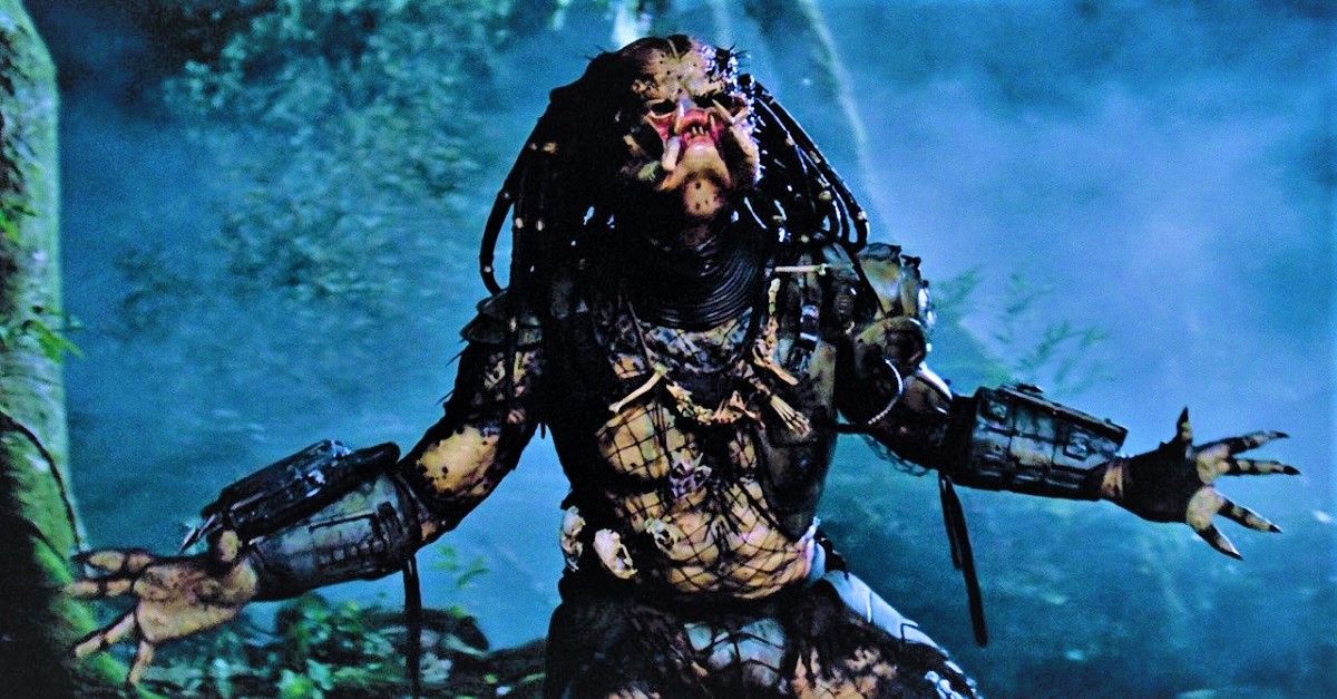 Predator-1.jpg