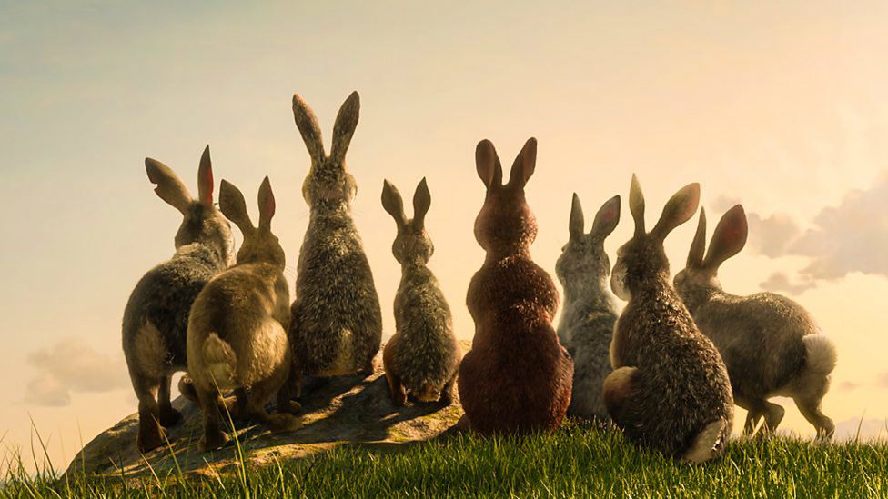 Watership Down Miniseries First Look Images & Full Voice Cast Revealed