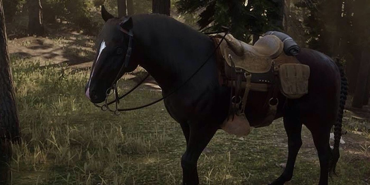 Red Dead Redemption 2's Andalusian Horse standing in a forest.