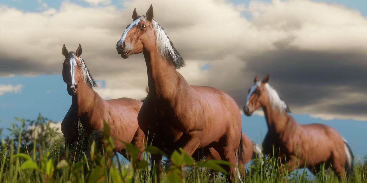 Thee Hungarian Half Bred Horses in Red Dead Redepemtion 2.