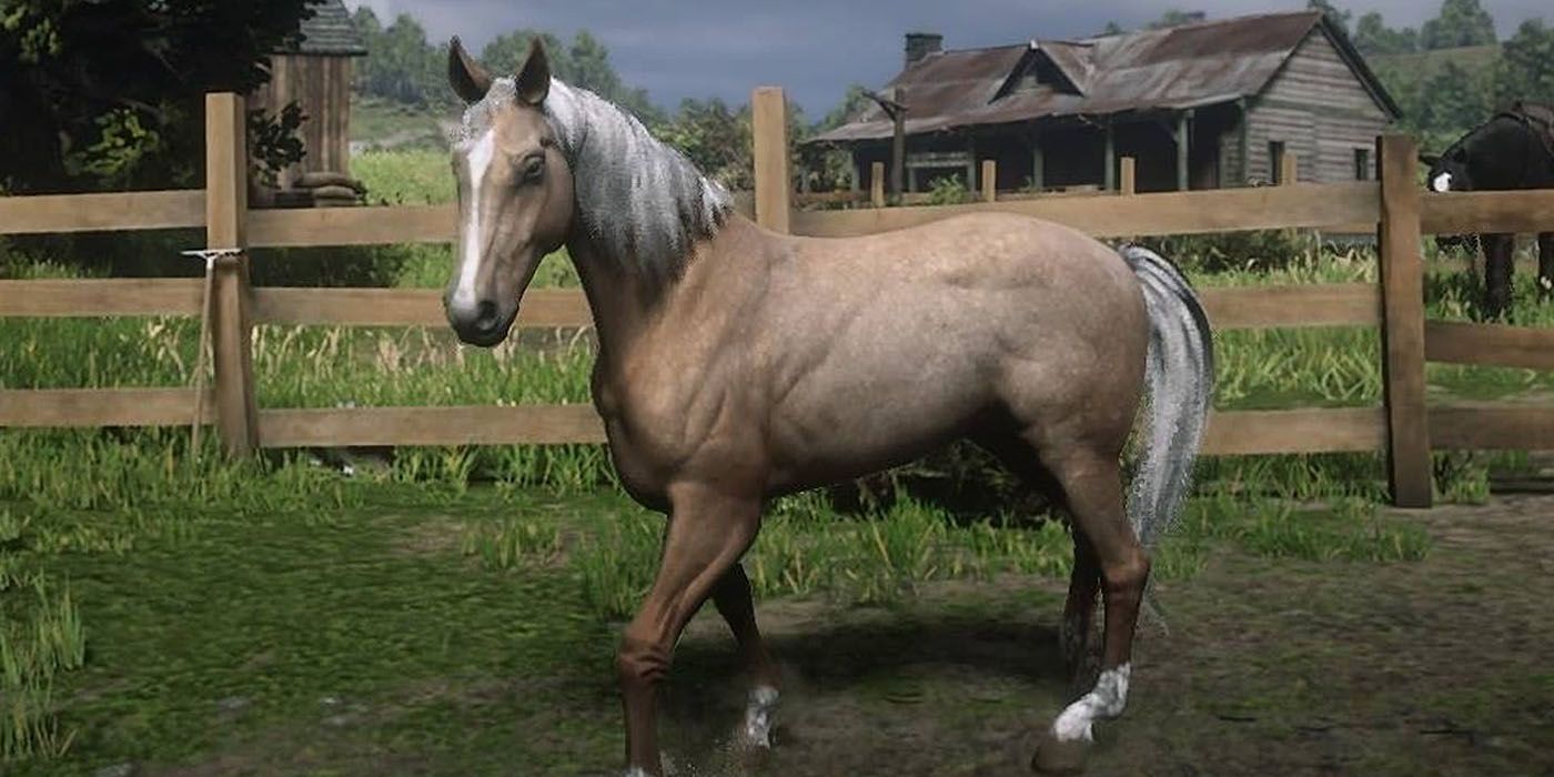 Red Dead Redemption 2's Morgan horse.