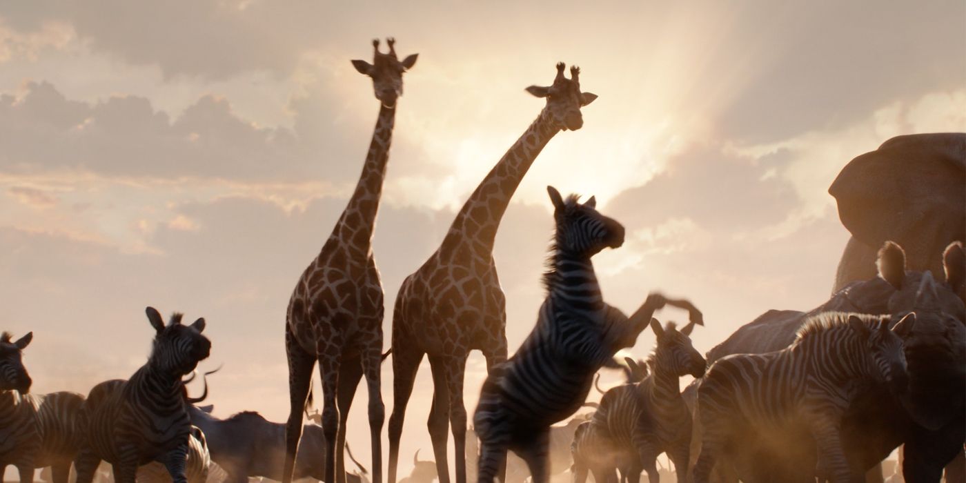 The Lion King Trailer Animals Assembled
