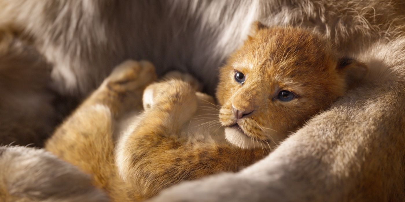 The Lion King Trailer Baby Simba