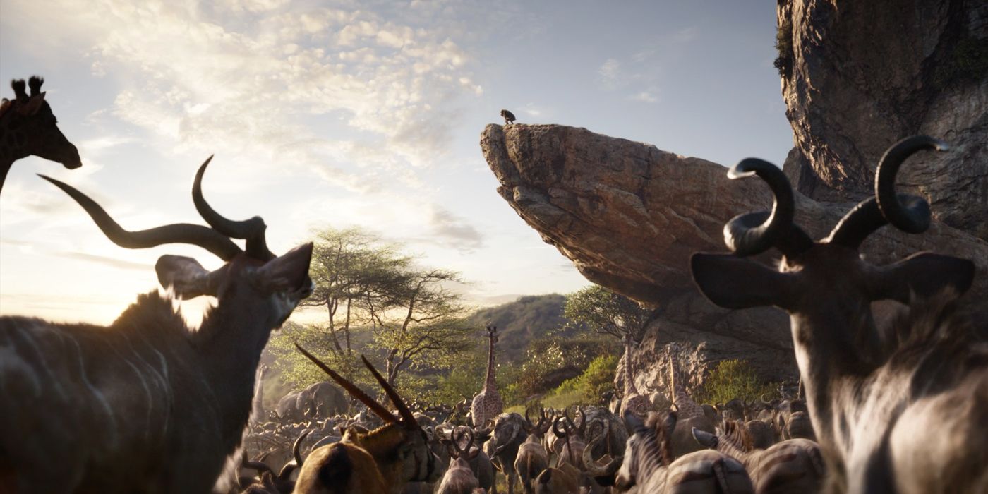 The Lion King Trailer Rafiki Pride Rock