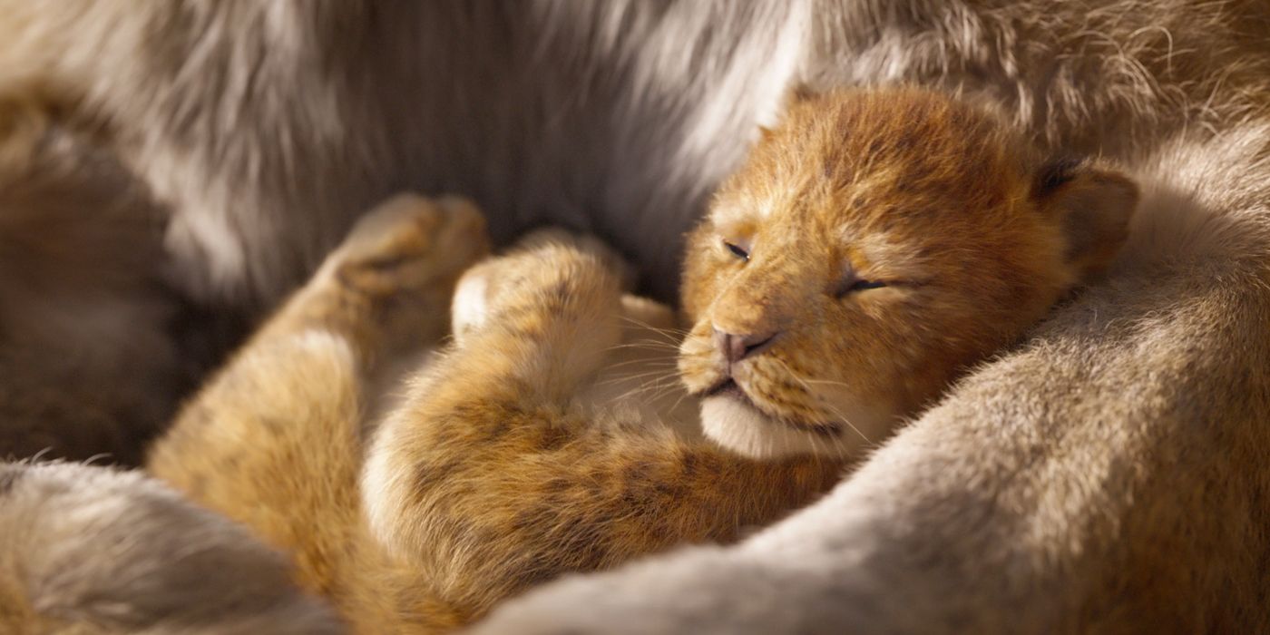 The Lion King Trailer Simba Asleep