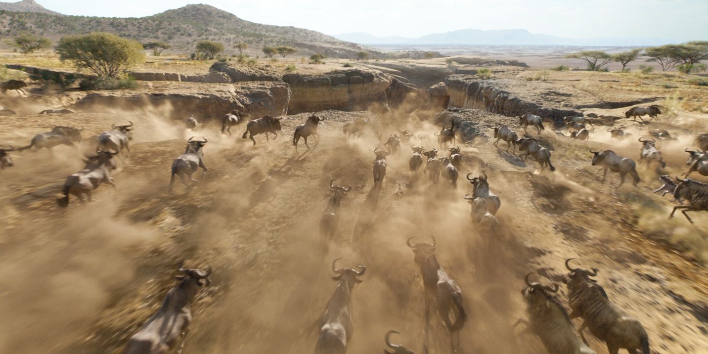 The Lion King Trailer Wildebeest Stampede