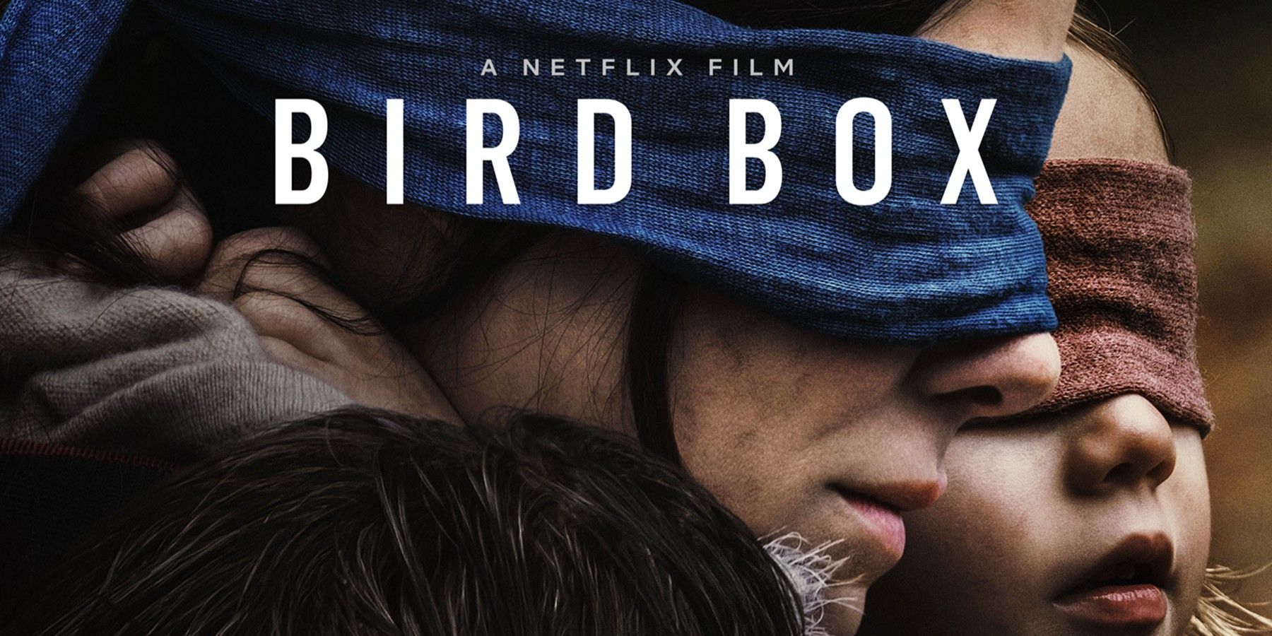 bird box movie review essay