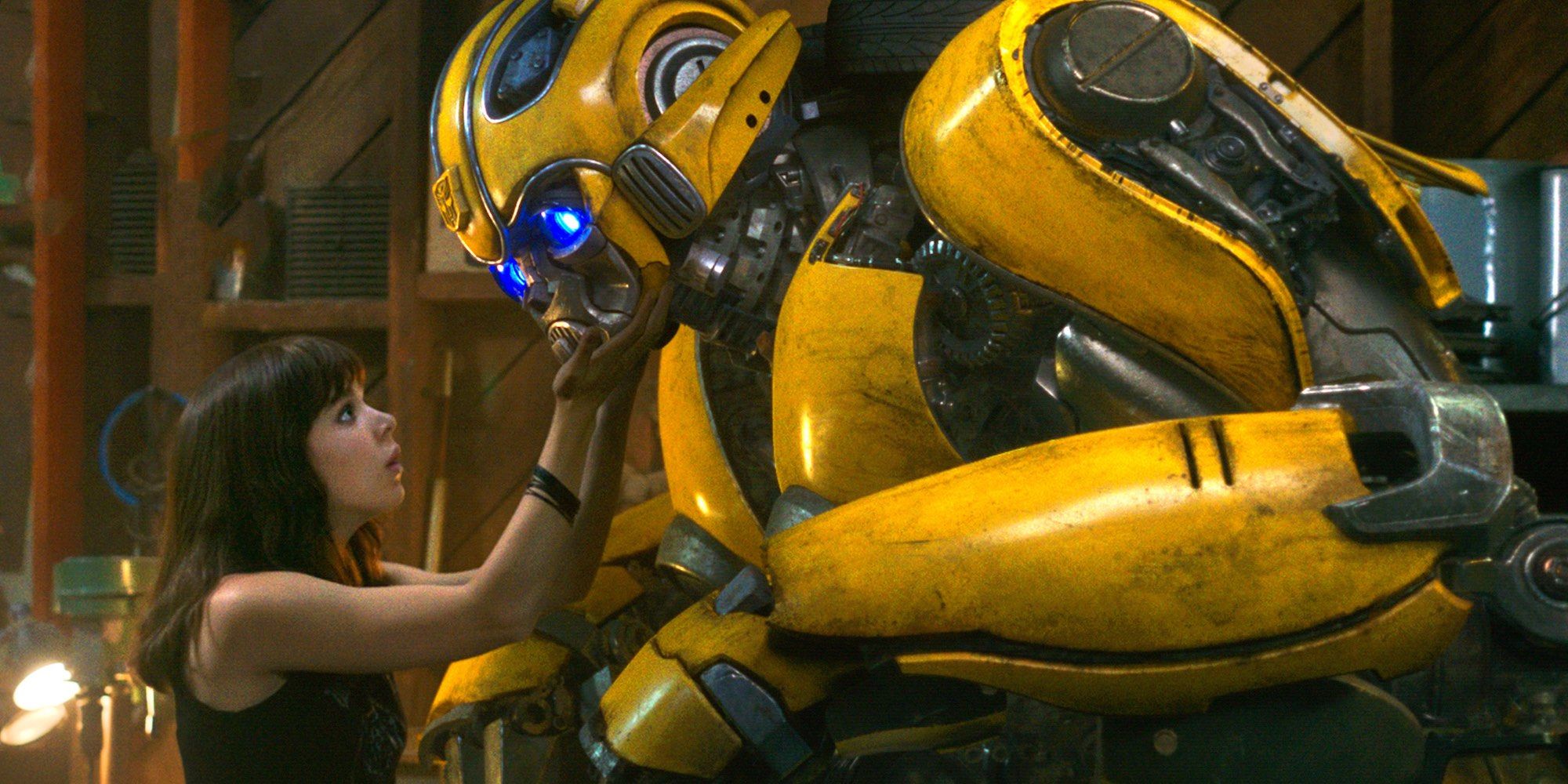 Haile Steinfeld's character and Bumblebee touch hands