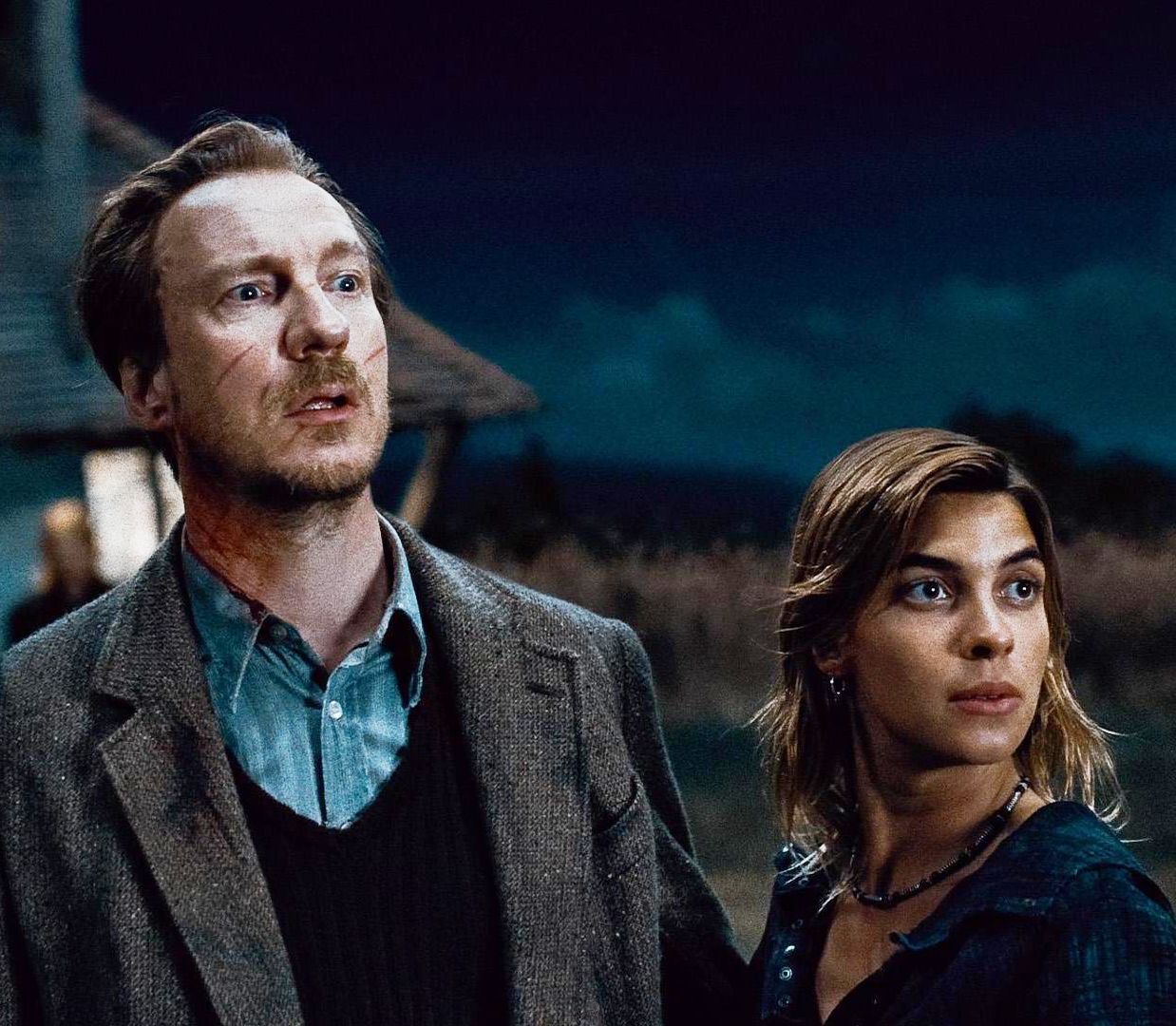 Harry Potter Lupin and Tonks square