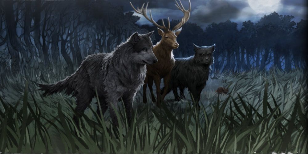 Padfoot, Prongs, and Moony in a field
