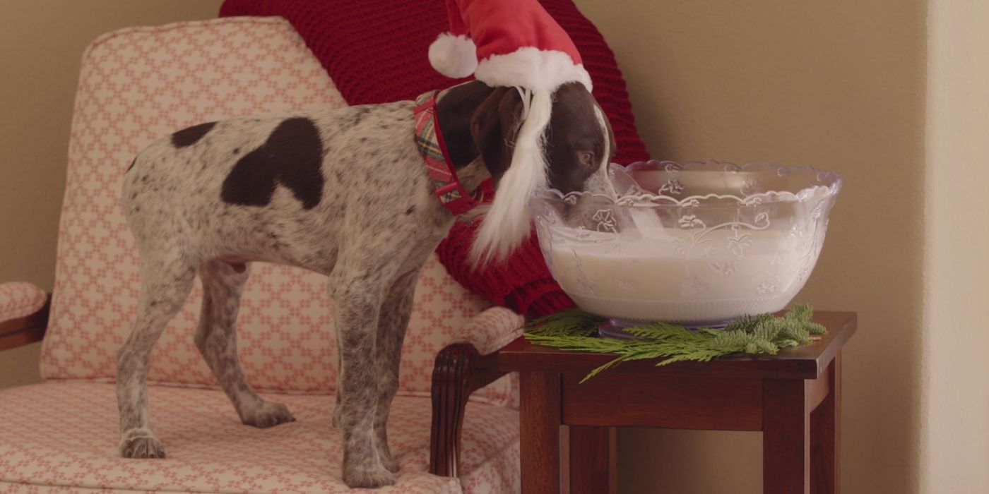 Puppies Crashing Christmas Hulu Christmas movies