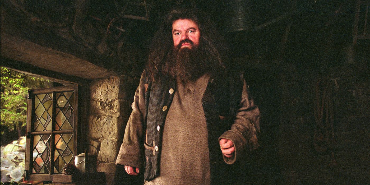Rubeus Hagrid standing in his cabin.