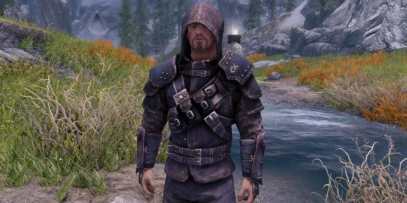 A man in a suit of Guild Master's Armor in Skyrim