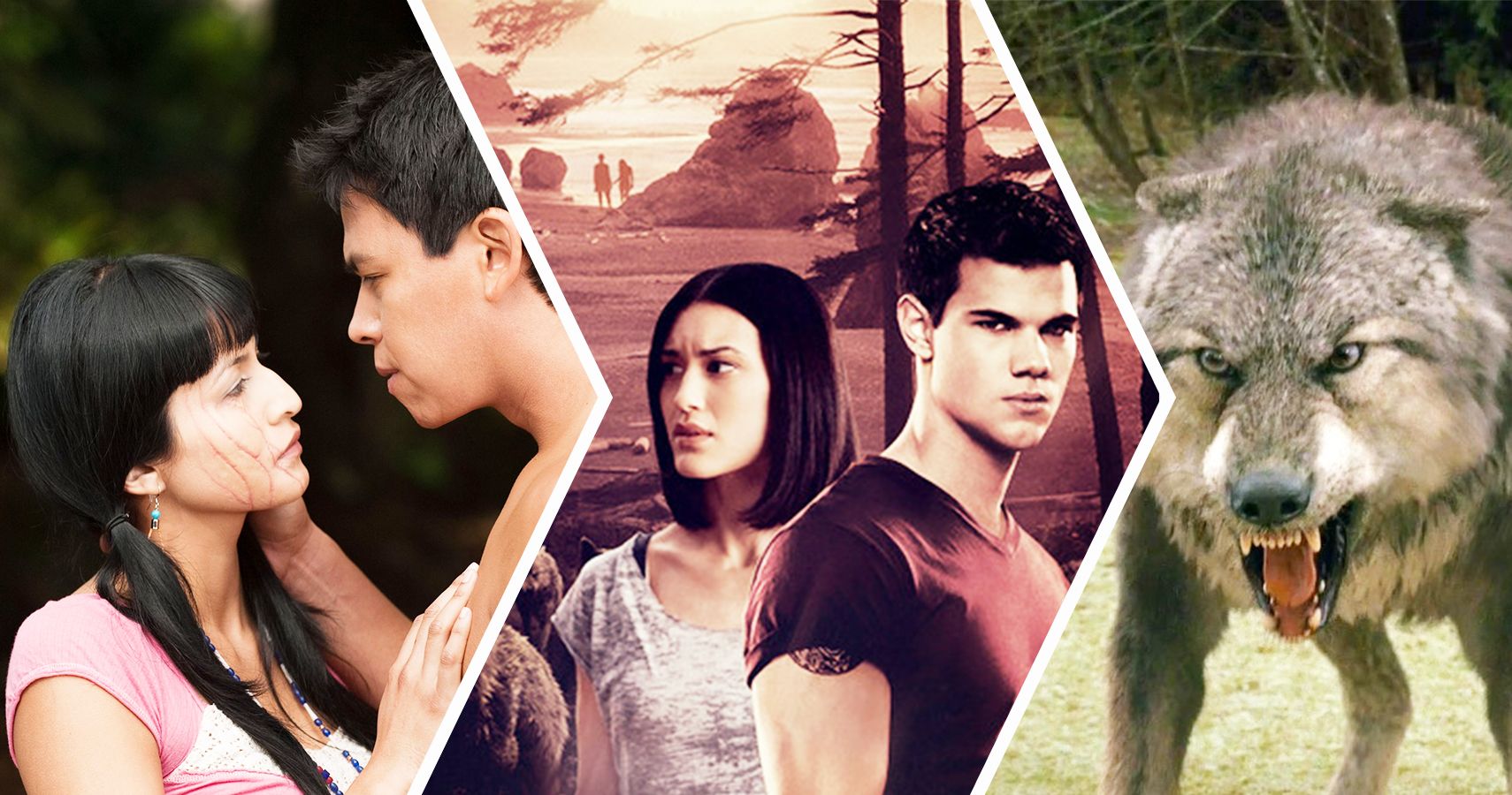 Twilight: 20 Wild Revelations About Jacob And His Family