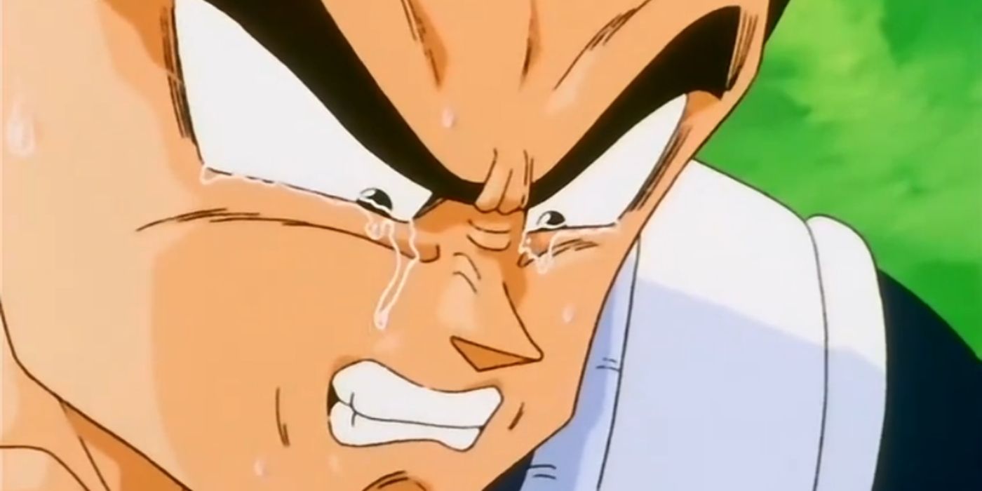 Vegeta Crying Dragon Ball Z