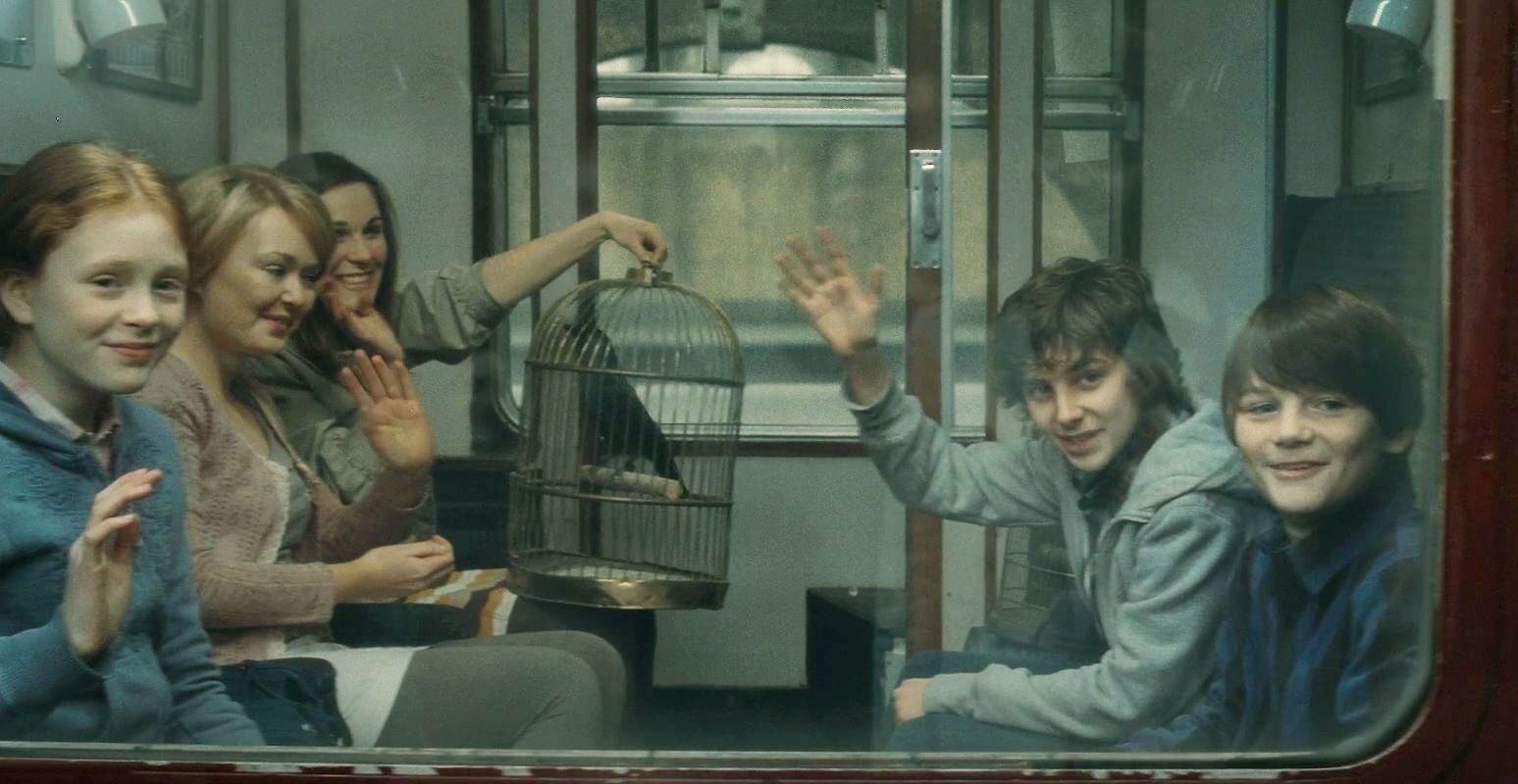 25 Wild Things Harry Potter And His Family Did After The Deathly Hallows