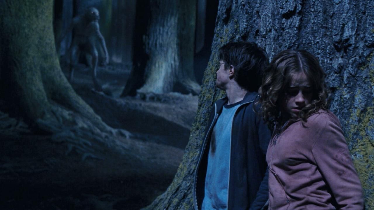 Harry Potter, Hermoine, and a Werewolf