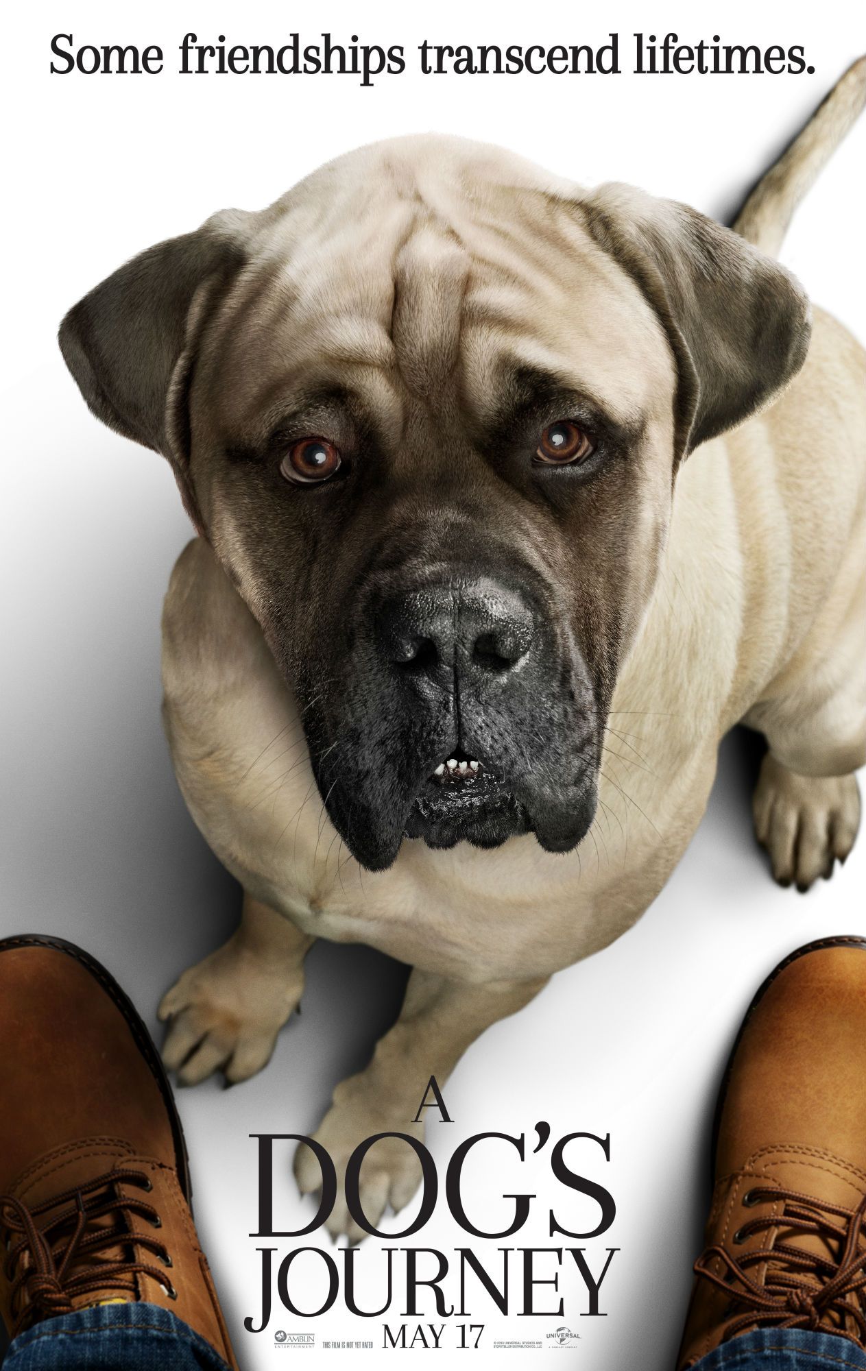 A Dog's Journey Poster Big Dog