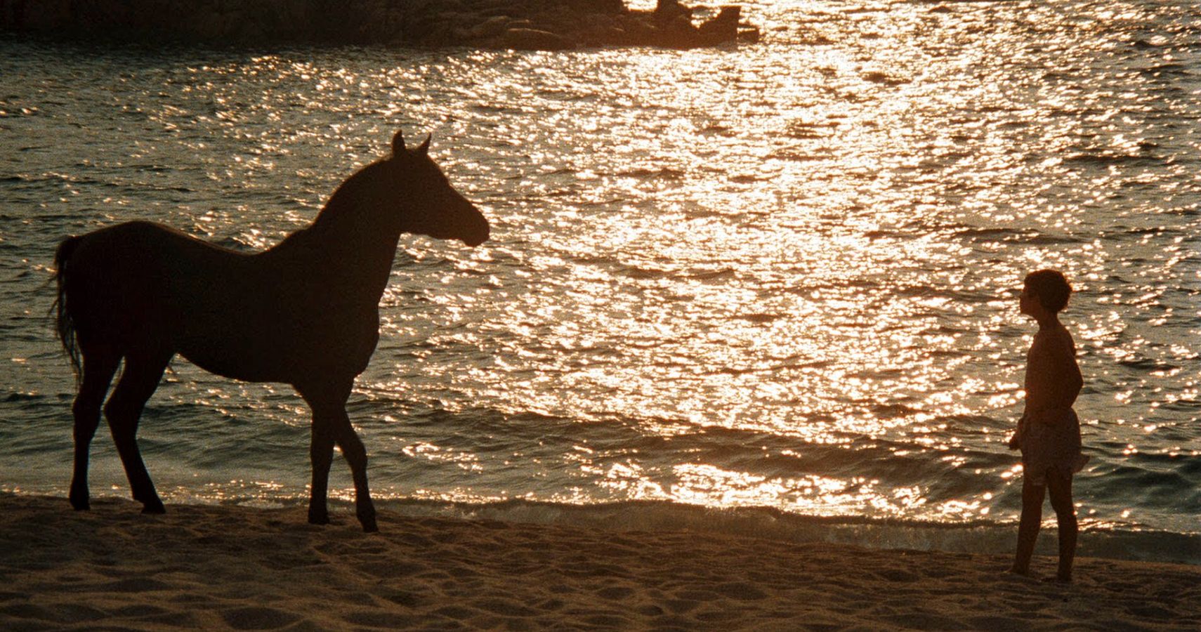 A young child looking at a horse while on the beach in the movie The Black Stallion