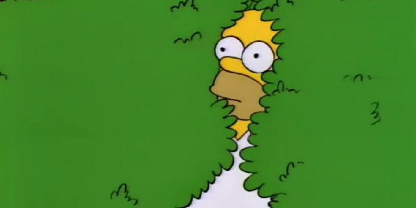 Homer in the hedge in Homer Loves Flanders Simpsons episode