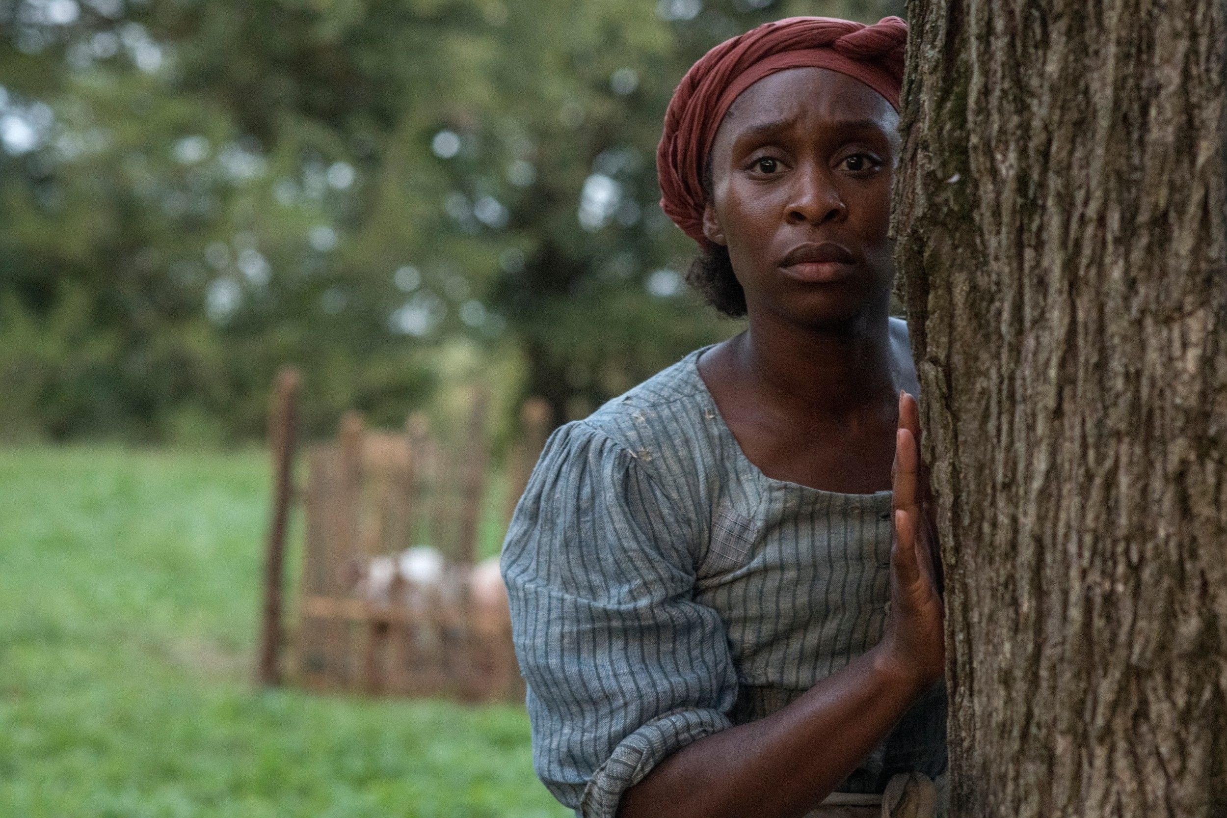 Harriet First Look Images: Cynthia Erivo is Harriet Tubman