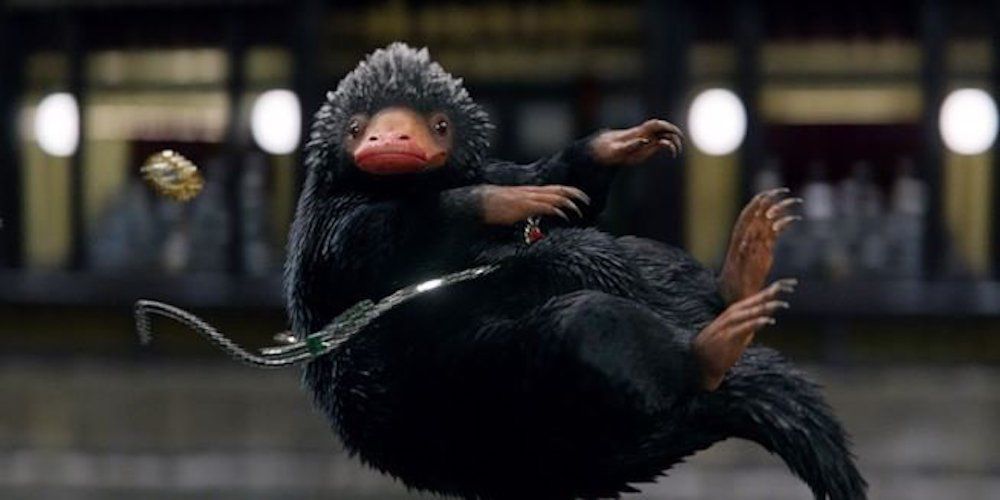 A Niffler flying through the air in Fantastic Beasts
