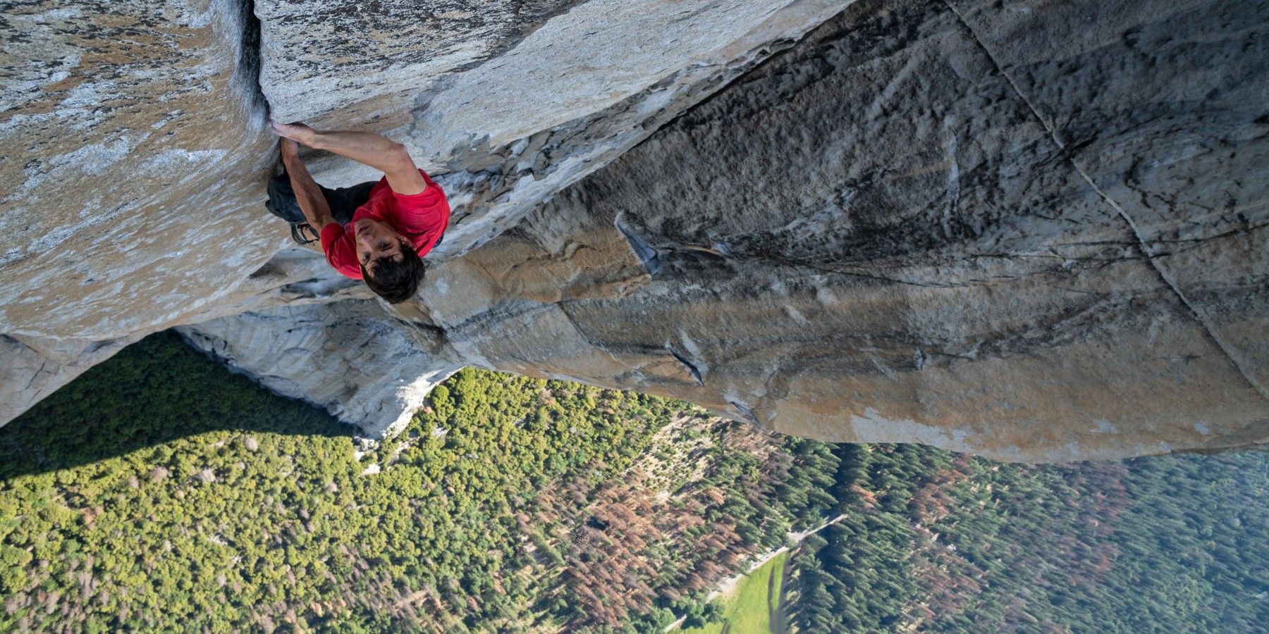 A scene from Free Solo.