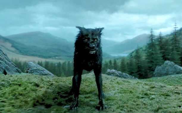 Sirius Black&rsquo;s animagus in The Prisoner of Azkaban