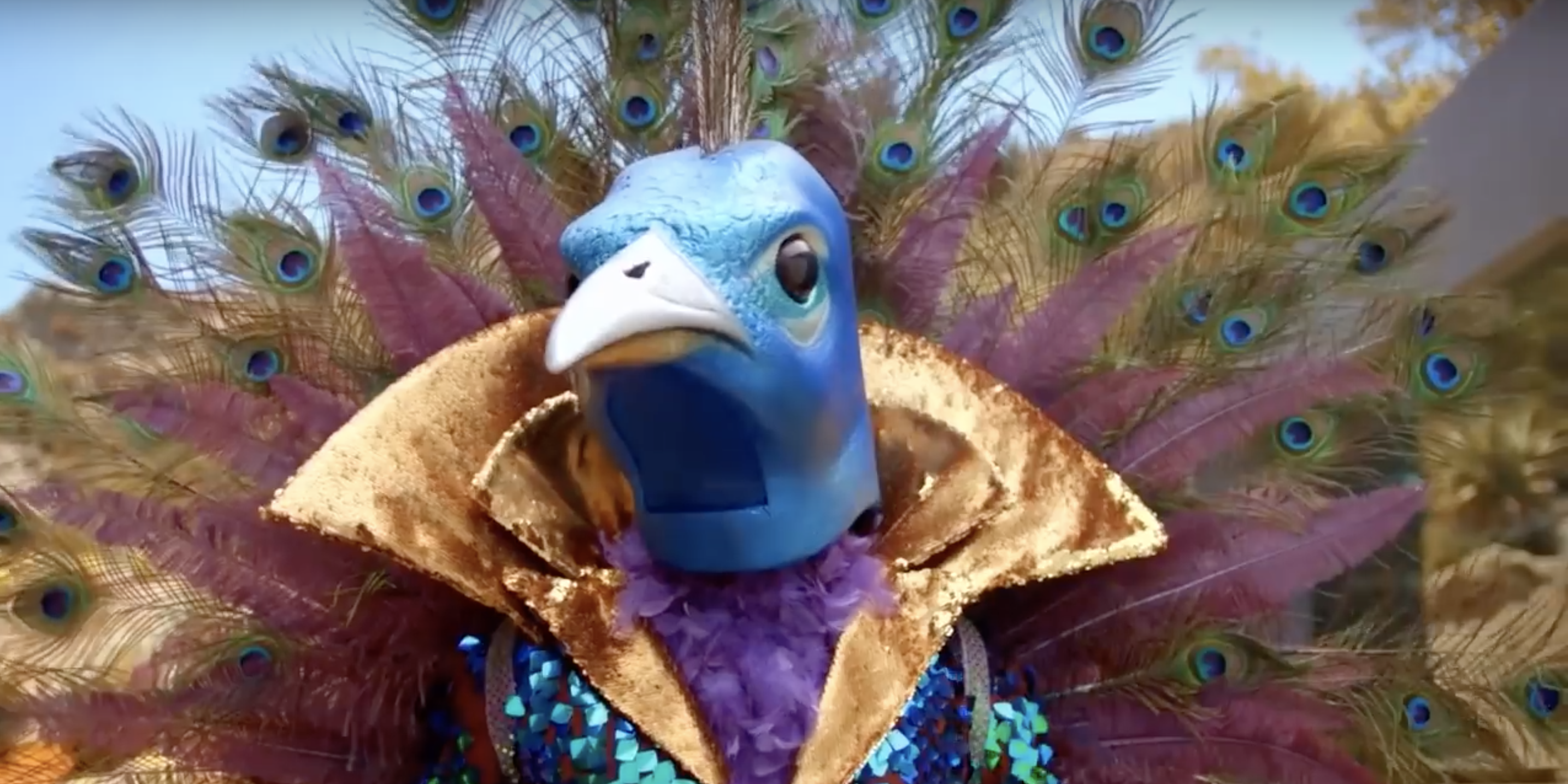 The Masked Singer The Peacock