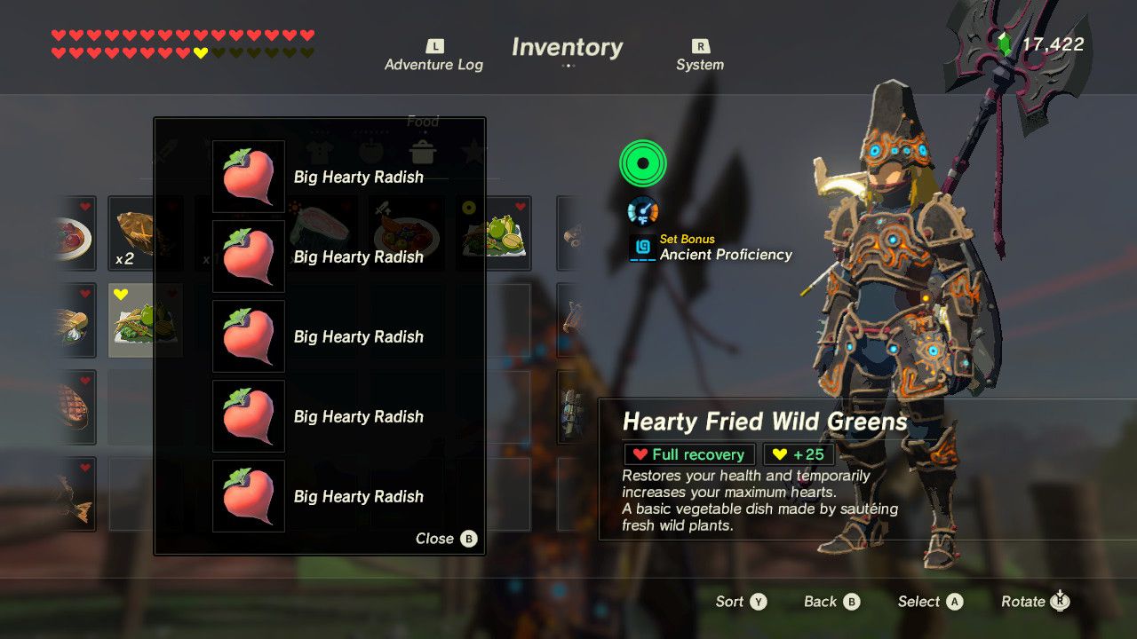 Zelda Breath of the Wild Recipe Hearty Fried Wild Greens