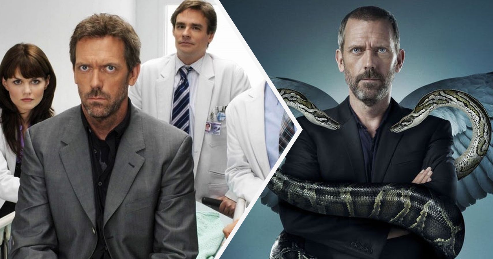 dr house cast