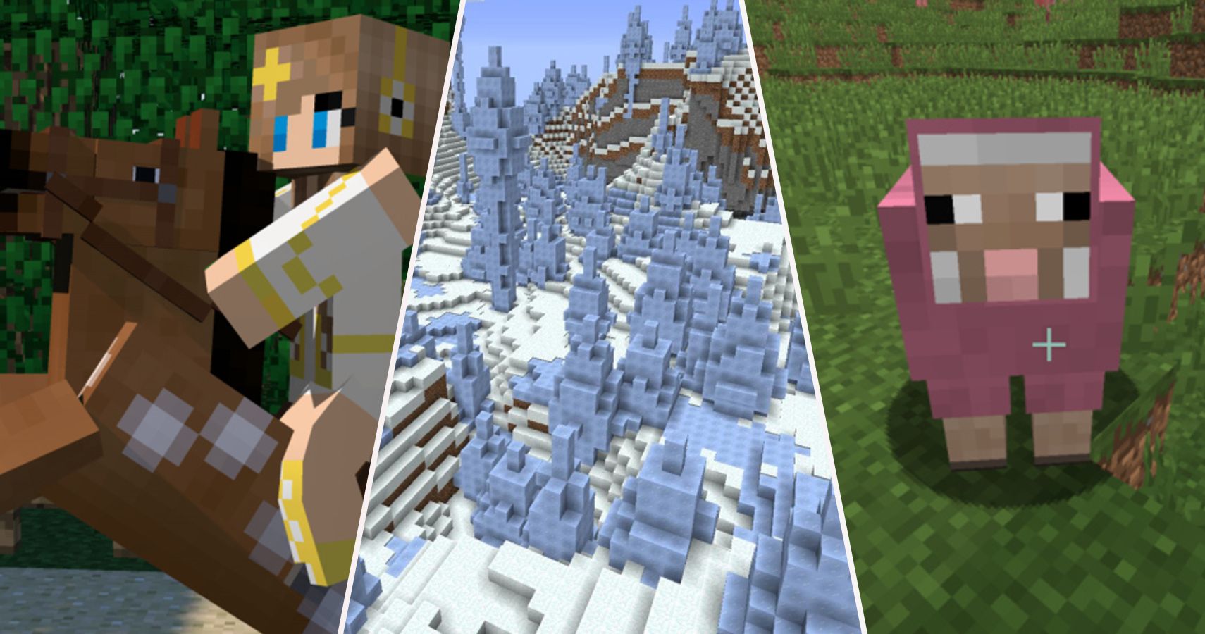 Minecraft: 20 Hidden Things Only Real Fans Know How To Find