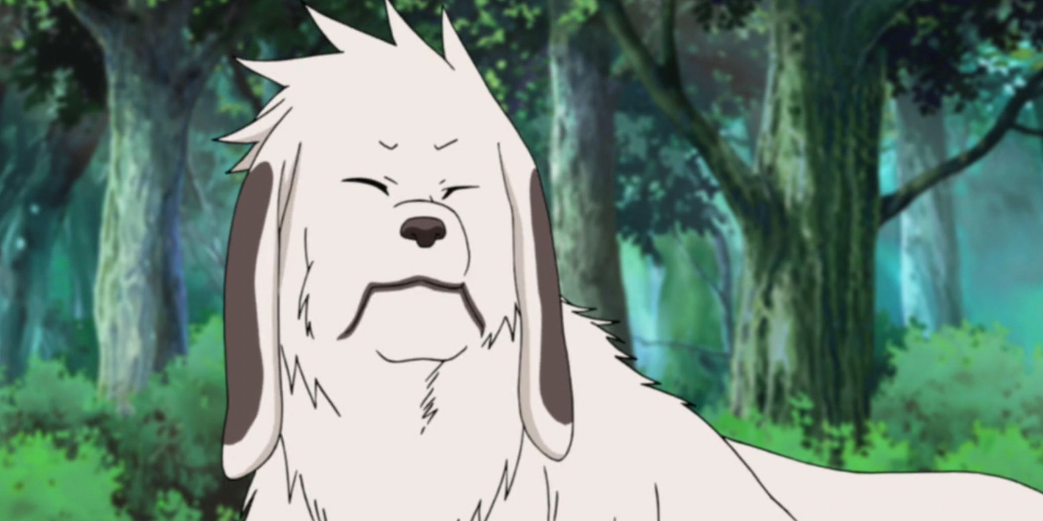 Akamaru in the forest in Naruto