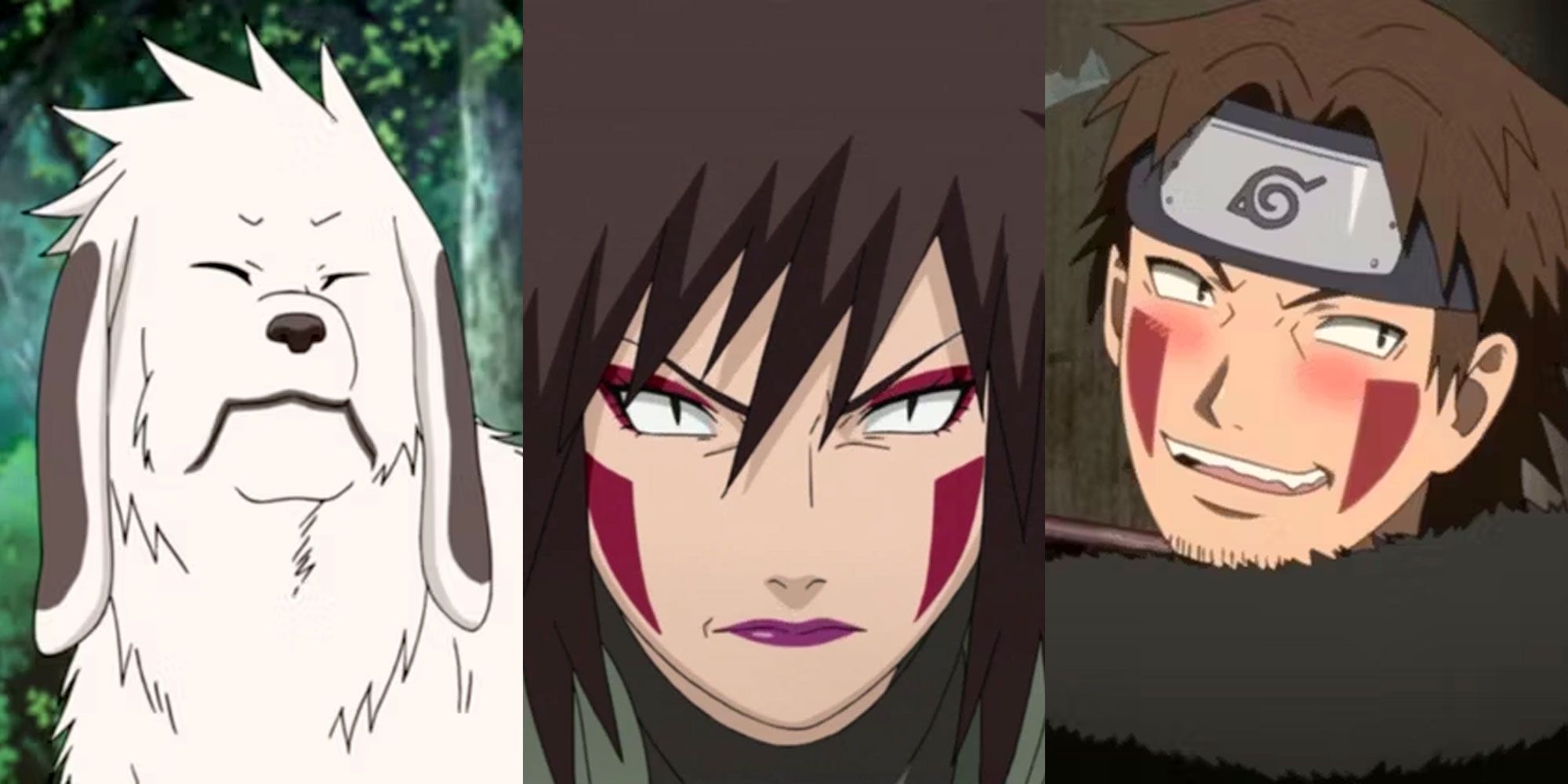 A split image features Akamaru, Tsume Inuzuka, and Kiba Inuzuka in Naruto Shippuden