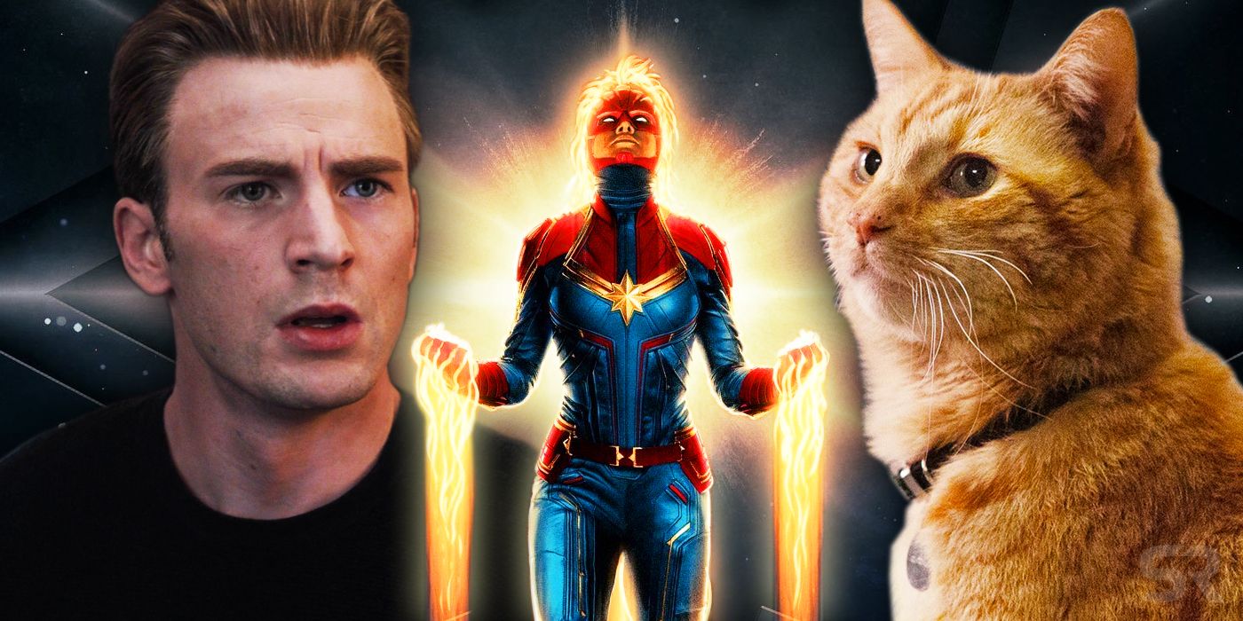Кеннет чои Марвел. Captain Marvel Cat. Captain credit. Cat scene