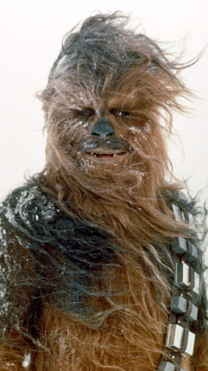 Chewbacca on Hoth in The Empire Strikes Back