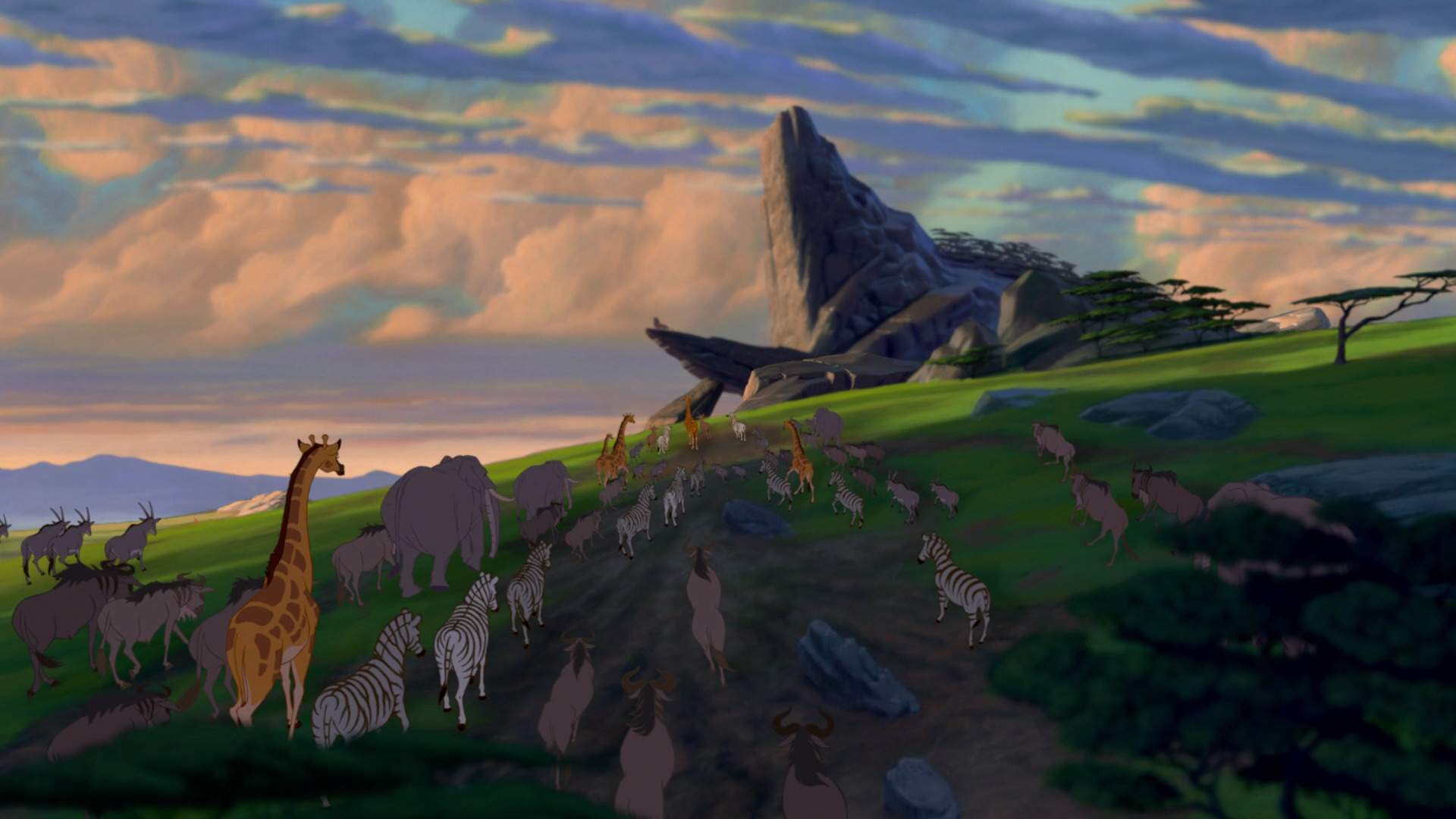 Disney Pride Rock The Lion King
