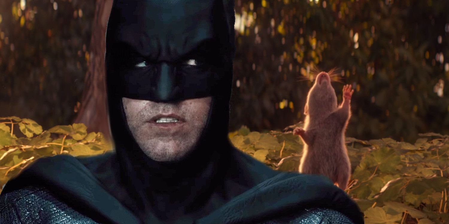 Doom Patrol Admiral Whiskers With Batman